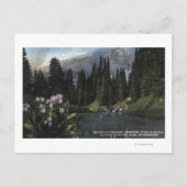 Washington - Rainier National Park, Shooting Sta Postkarte (Vorderseite)
