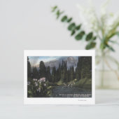 Washington - Rainier National Park, Shooting Sta Postkarte (Stehend Vorderseite)