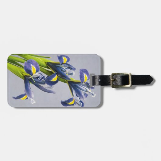 Washington, Redmond, Lila Irische Gepäckanhänger (Vorderseite horizontal)