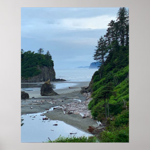 Washington Rocky Ruby Beach Poster