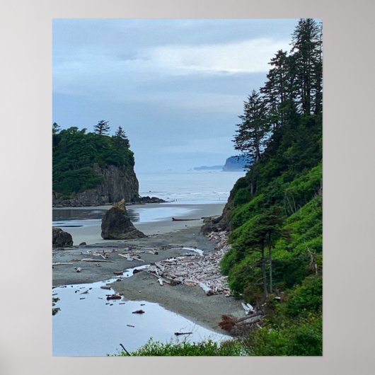 Washington Rocky Ruby Beach Poster (Vorne)