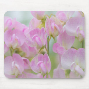 Washington, Seabeck. Detail der Duft-Platterbse Mousepad