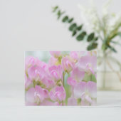 Washington, Seabeck. Detail der Erbse Postkarte (Stehend Vorderseite)