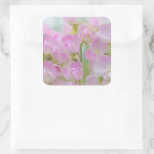 Washington, Seabeck. Detail der Erbse Quadratischer Aufkleber (Tasche)