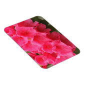 Washington, Seattle, Puget Sound, Discovery Park Magnet (Rechte Seite)