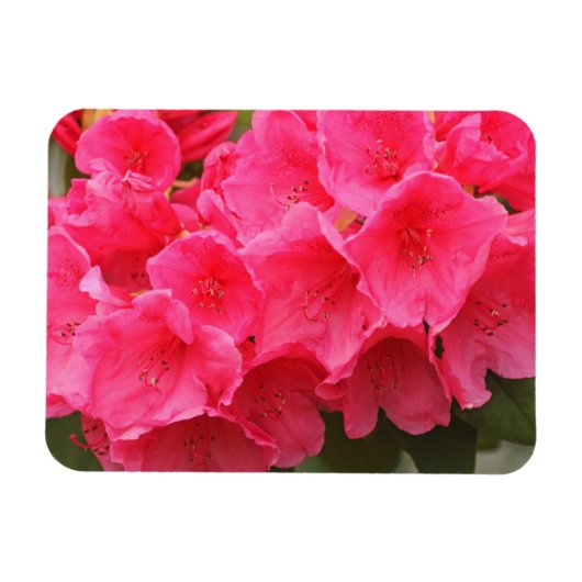 Washington, Seattle, Puget Sound, Discovery Park Magnet (Horizontal)