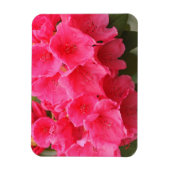 Washington, Seattle, Puget Sound, Discovery Park Magnet (Vertikal)