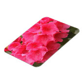 Washington, Seattle, Puget Sound, Discovery Park Magnet (Linke Seite)