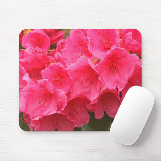 Washington, Seattle, Puget Sound, Discovery Park Mousepad (Mit Mouse)