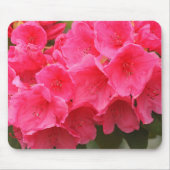 Washington, Seattle, Puget Sound, Discovery Park Mousepad (Vorne)