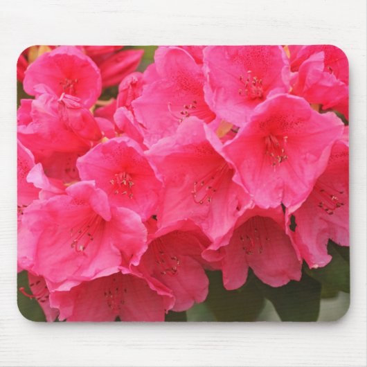 Washington, Seattle, Puget Sound, Discovery Park Mousepad (Vorne)