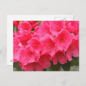 Washington, Seattle, Puget Sound, Discovery Park Postkarte (Vorne/Hinten)