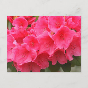 Washington, Seattle, Puget Sound, Discovery Park Postkarte