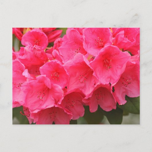 Washington, Seattle, Puget Sound, Discovery Park Postkarte (Vorderseite)