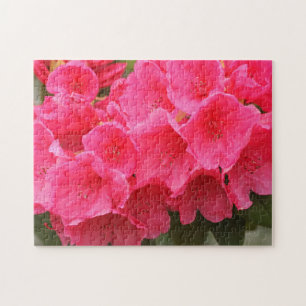 Washington, Seattle, Puget Sound, Discovery Park Puzzle