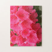 Washington, Seattle, Puget Sound, Discovery Park Puzzle (Vertikal)