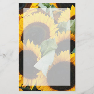 Washington, Seattle, Sonnenblume zu verkaufen Pike Briefpapier