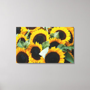 Washington, Seattle, Sonnenblume zu verkaufen Pike Leinwanddruck