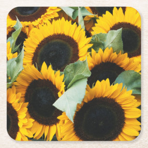 Washington, Seattle, Sonnenblume zu verkaufen Pike Rechteckiger Pappuntersetzer