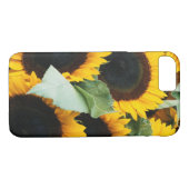 Washington, Seattle, Sonnenblume zum Verkauf Case-Mate iPhone Hülle (Rückseite (Horizontal))
