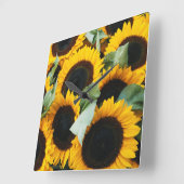 Washington, Seattle, Sonnenblume zum Verkauf Quadratische Wanduhr (Winkel)