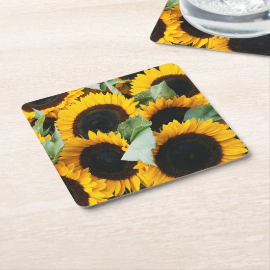 Washington, Seattle, Sonnenblume zum Verkauf Rechteckiger Pappuntersetzer (angewinkelt)