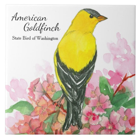 Washington Souvenir American Goldfinch Yellow Fliese (Vorderseite)