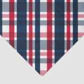 Washington Sports Fan Blue White Red Kariert Seidenpapier (Detail)
