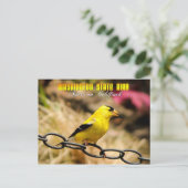 Washington Staat Bird - American Goldfinch Postkarte (Stehend Vorderseite)