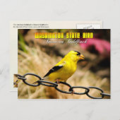 Washington Staat Bird - American Goldfinch Postkarte (Vorne/Hinten)