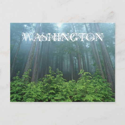 Washington Staat Post Card Postkarte (Vorderseite)