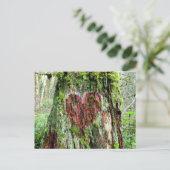 Washington Staat Postcard: Baum der Liebe Postkarte (Stehend Vorderseite)