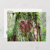 Washington Staat Postcard: Baum der Liebe Postkarte (Vorne/Hinten)
