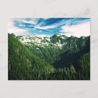 Washington Staat Postcard Postkarte