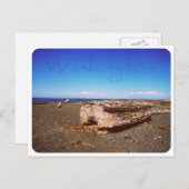 Washington Staat Seashore: Fotografie Postkarte (Vorne/Hinten)
