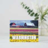 Washington Staat | Tulip Field | Happy Birthday Postkarte (Stehend Vorderseite)
