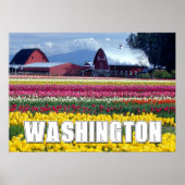 Washington Staat | Tulip Field Poster (Vorne)