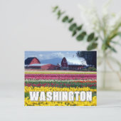 Washington Staat | Tulip Field Postkarte (Stehend Vorderseite)