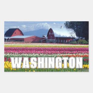 Washington Staat   Tulip Field Rechteckiger Aufkleber