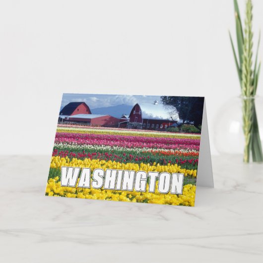 Washington Staat | Tulip Field | Vielen Dank Dankeskarte (Vorderseite)