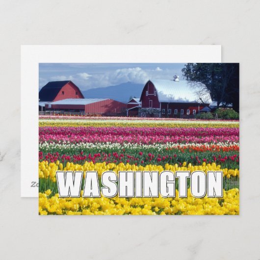 Washington Staat | Tulip Field | Vielen Dank Postkarte (Vorne/Hinten)