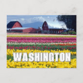 Washington Staat | Tulip Field | Vielen Dank Postkarte (Vorderseite)