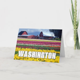 Washington State   Tulpenfeld   Alles Gute zum Geb Karte