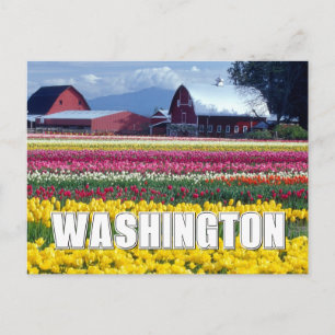 Washington State   Tulpenfeld   Alles Gute zum Geb Postkarte