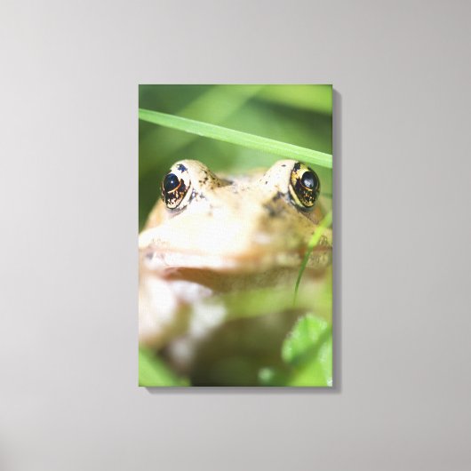 Washington, USA 2 Leinwanddruck (Vorderseite)