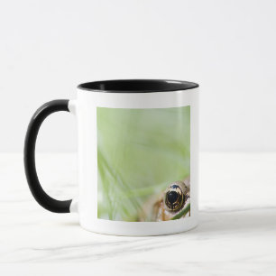 Washington, USA Tasse