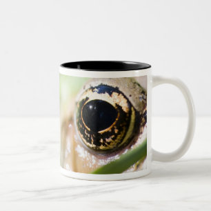 Washington, USA Zweifarbige Tasse