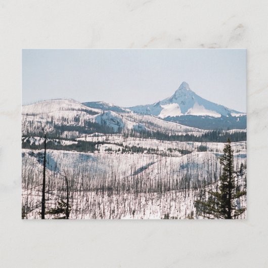 Washington vom Santiam Pass aus Postkarte (Vorderseite)