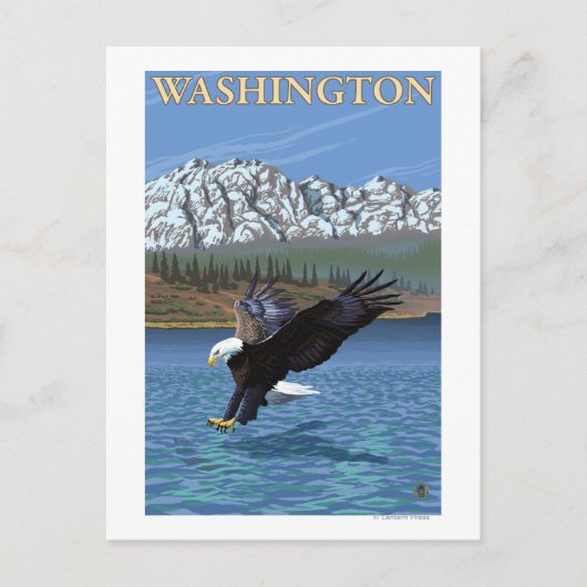 WashingtonDiving Eagle Postkarte (Vorderseite)