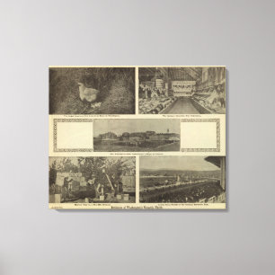 Washingtons vielseitige Sparsamkeit Leinwanddruck